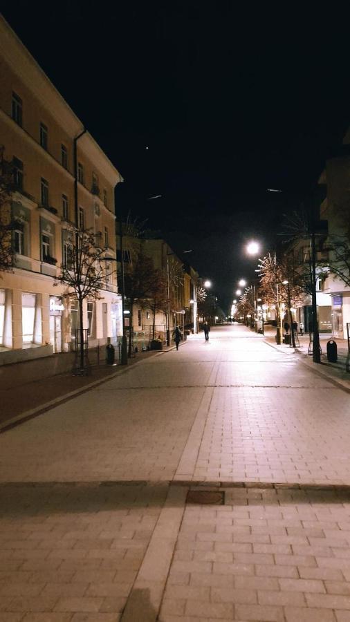 Downtown Apartment Rentals Šiauliai Exteriér fotografie